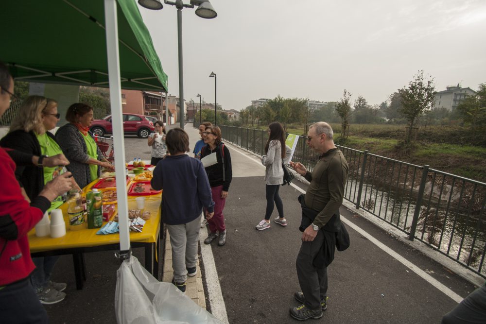 _MG_9496